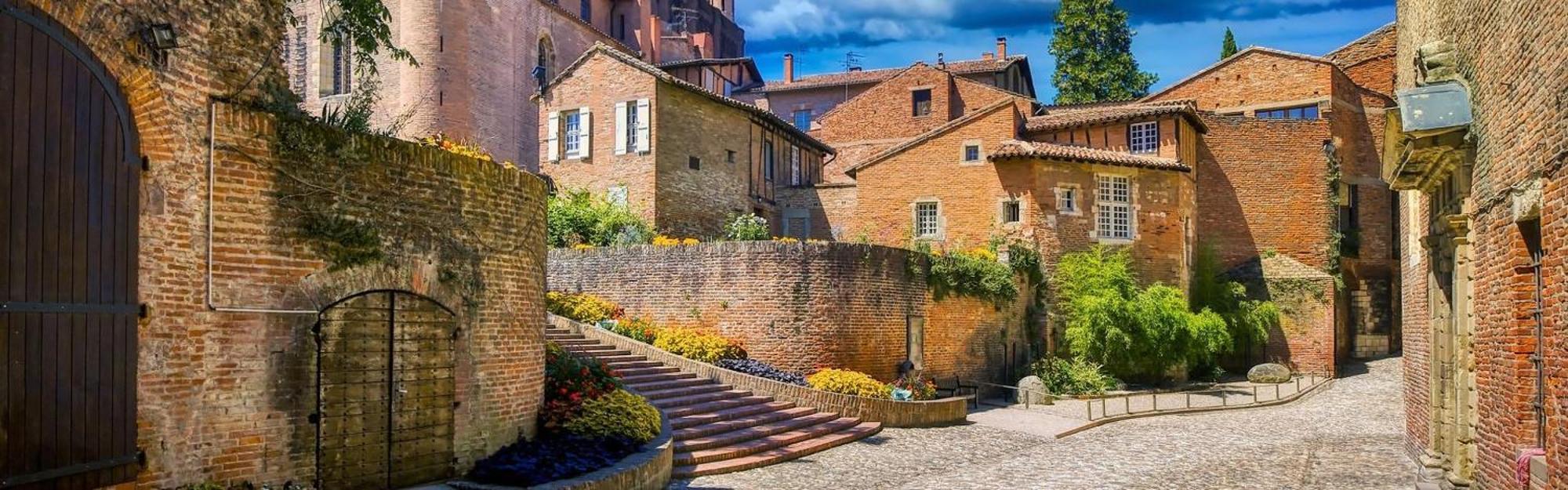 Appartement Climatise Avec Parking A Albi Bagian luar foto